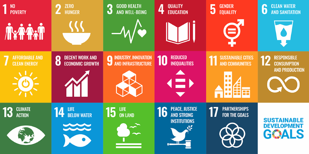 Sustainable Development Goals